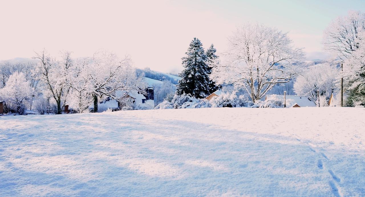 Domaine Des Marequiers Chambre Silene Saint-Germain-du-Teil Eksteriør bilde