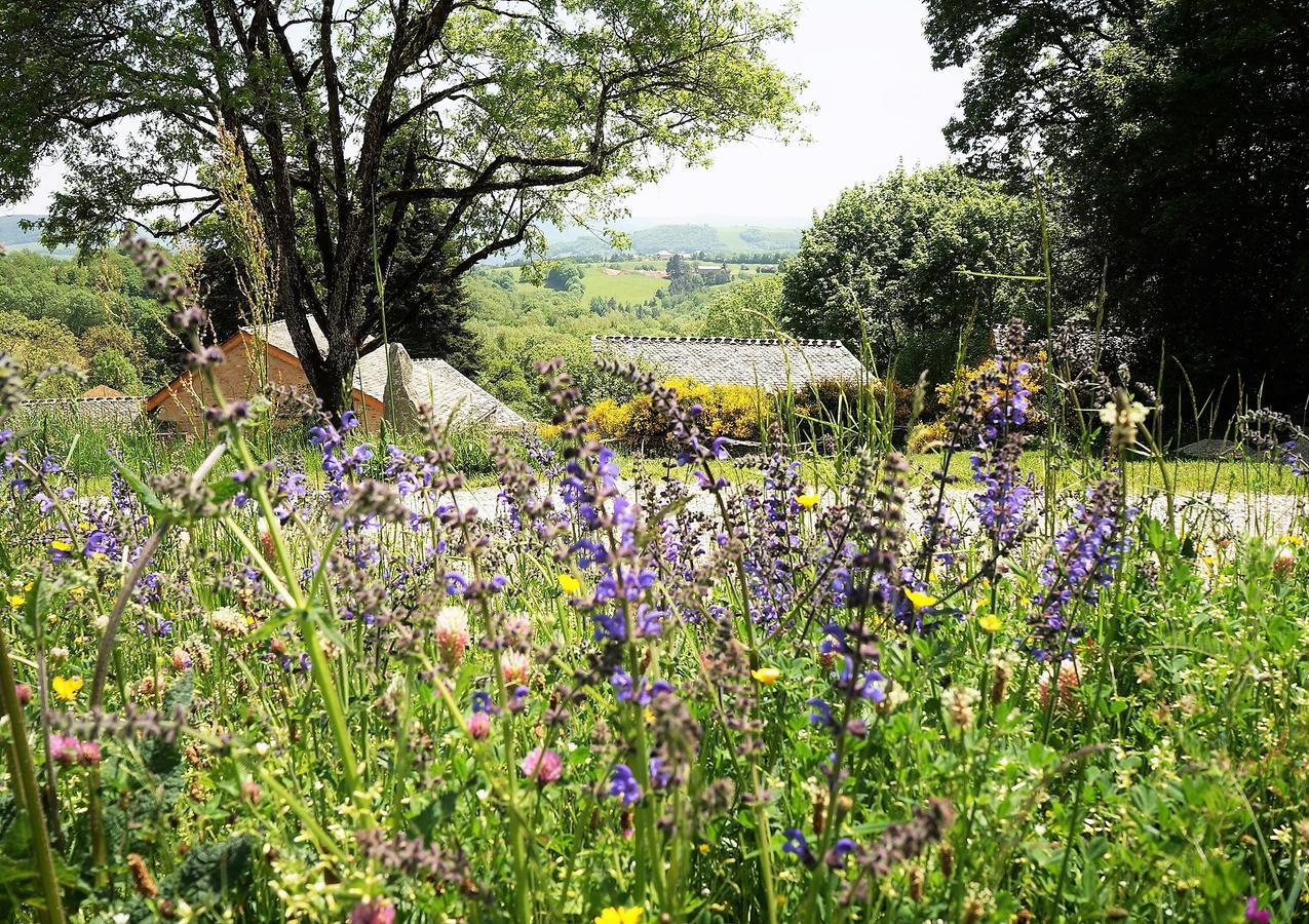 Domaine Des Marequiers Chambre Silene Saint-Germain-du-Teil Eksteriør bilde